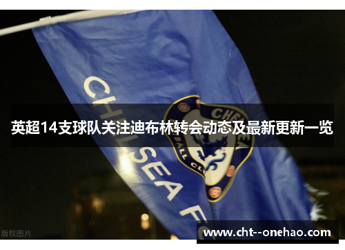 英超14支球队关注迪布林转会动态及最新更新一览